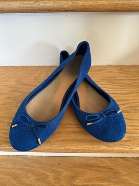 Faux Perforated Suede Ballet Flats
